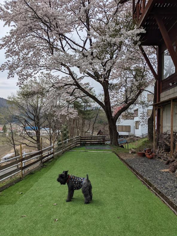 ワンコと泊まるジャスミンクリーク Hotel โทโยคะ ภายนอก รูปภาพ